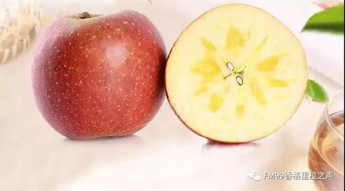 云南 十大名品 這些上榜了 還有綠色食品10強 20佳創新企業