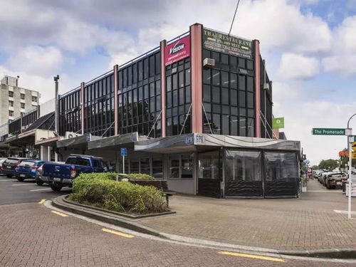 博宇佳業 塔卡普納CBD黃金商用物業，坐擁核心地段，投資開發雙重價值